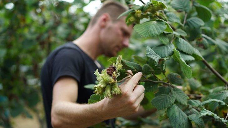Ferrero ’8. Sürdürülebilirlik Raporu’nu Ankara İtalya Büyükelçiliğinde Açıkladı G4