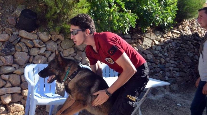 Hatay&rsquo;da Kaybolan K&uuml;&ccedil;&uuml;k Ufuk &Ouml;zel K&ouml;peklerle Aranıyor