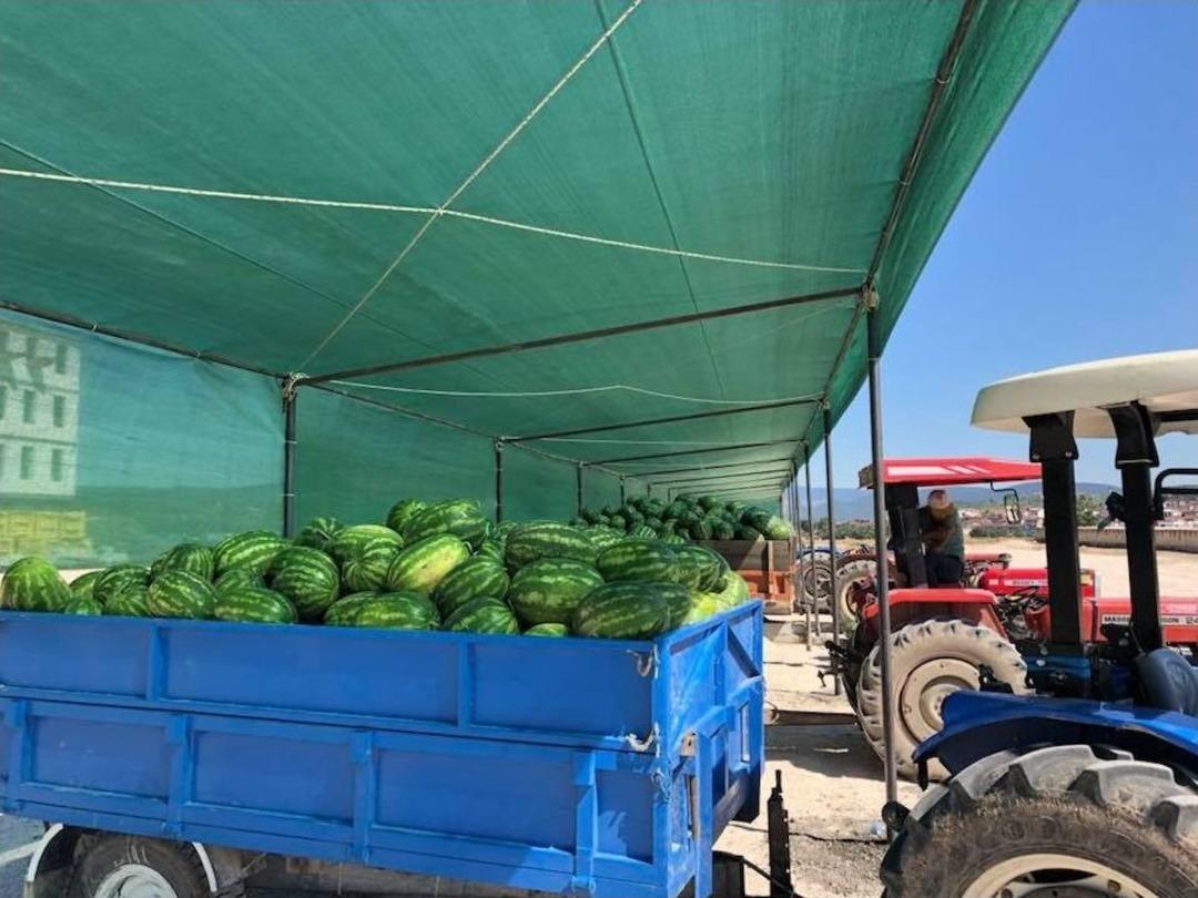 Osmaneli&rsquo;de Karpuz Sezonu A&ccedil;ıldı