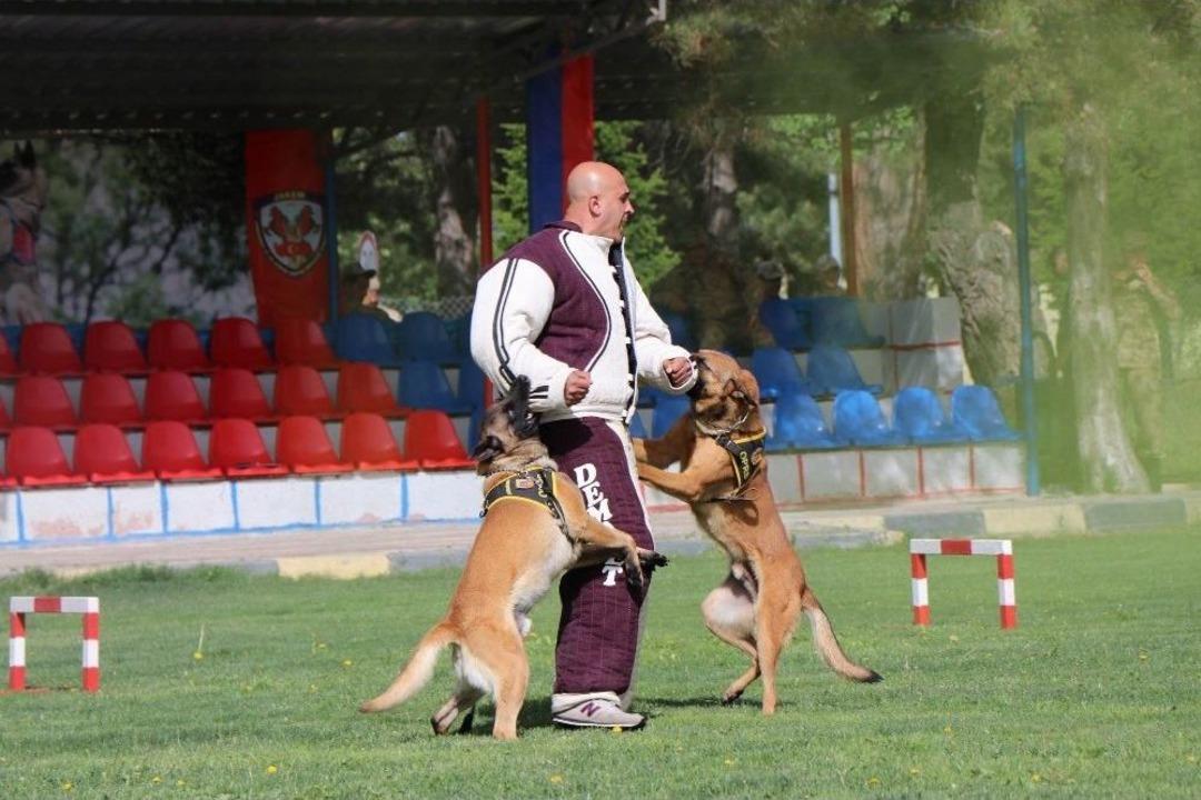 Kahraman K&ouml;pekler Jakem&rsquo;de Yetişiyor