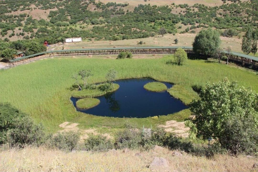 Doğa Harikası &rsquo;y&uuml;zenadalar&rsquo;a B&uuml;y&uuml;k İlgi G&ouml;r&uuml;yor
