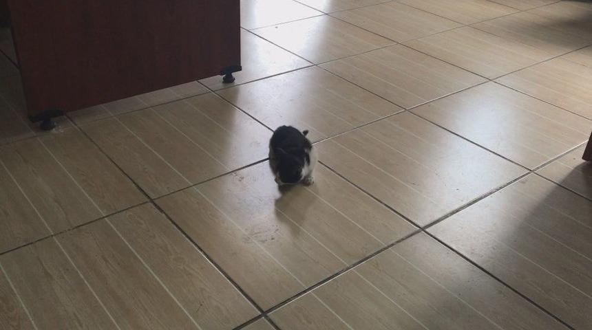 Su Borusunun Altında &Ouml;l&uuml;m&uuml; Beklerken, İtfaiye Operasyonu İle Hayata D&ouml;nd&uuml;