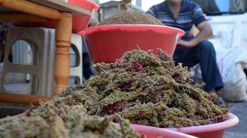 Kilis&rsquo;te Sumak Ekşisi Piyasada
