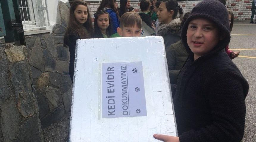 &Ouml;ğrenciler &lsquo;sokak Canlarının Yanında&rsquo;