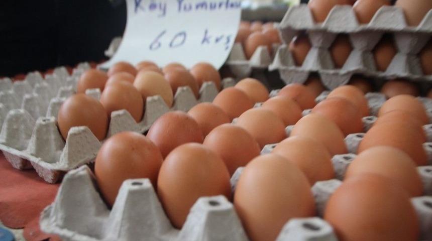 Organik Yumurta Daha Sağlıklı