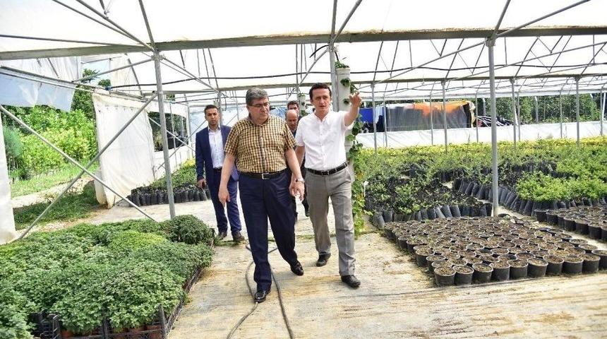 Başkan Can, Belediye Ait Serayı Gezdi