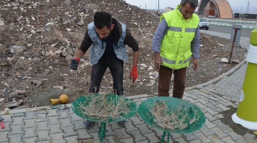 Kamp&uuml;s Alanına Leylek Yuvası