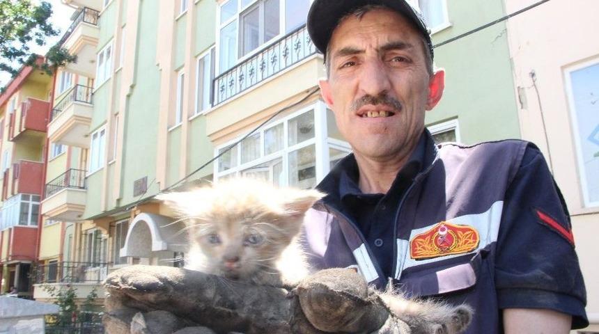 Gece Kurtarılan Yavru Kedi Tekrar Aynı Ara&ccedil;ta Mahsur Kaldı