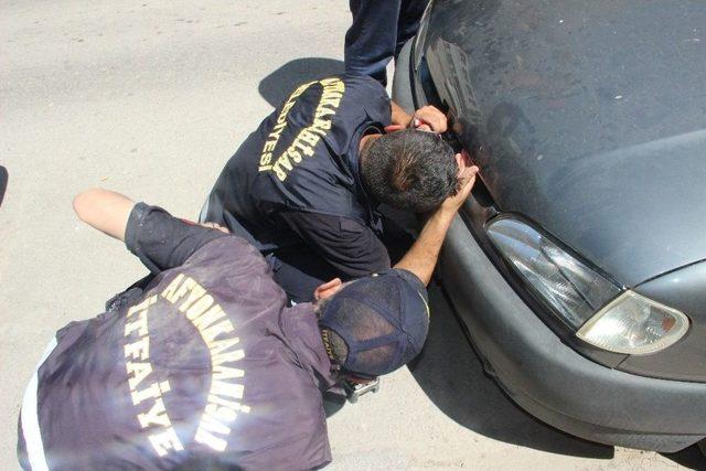 Gece Kurtarılan Yavru Kedi Tekrar Aynı Ara&ccedil;ta Mahsur Kaldı 1