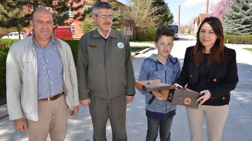 Minik Hayvanseverden Yine &Ouml;rnek Bir Davranış