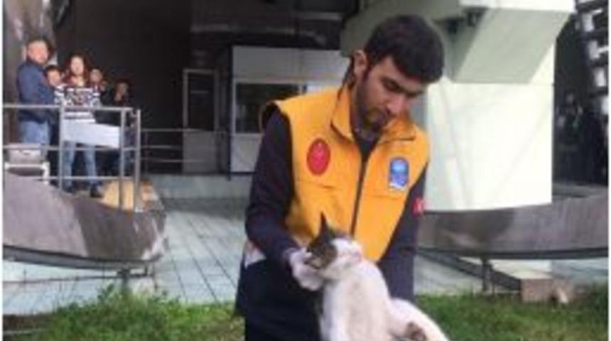 Y&uuml;r&uuml;yen Merdivene Sıkışan Kediyi Veteriner Ekipleri Kurtardı