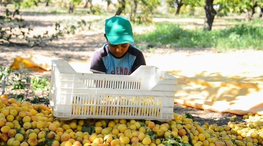 Maski&rsquo;den Artan Su T&uuml;ketimi Nedeniyle Ek Tedbirler Alındı