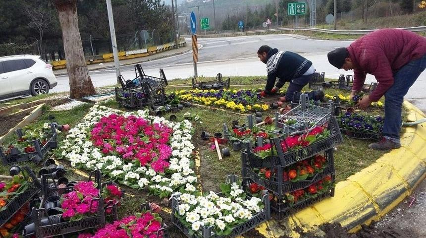 Sapanca&rsquo;da Hummalı &Ccedil;alışma