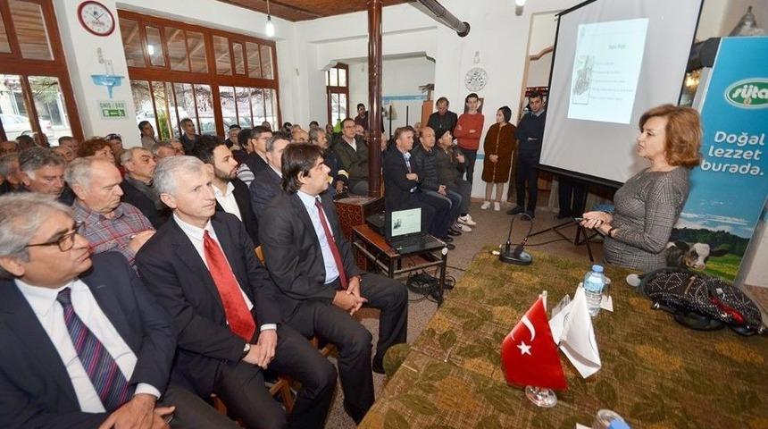 Fo&ccedil;a&rsquo;da Zeytin Paneline Yoğun İlgi