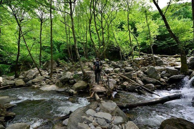 Yıldırım’da ‘alternatif Turizm’ Alanları