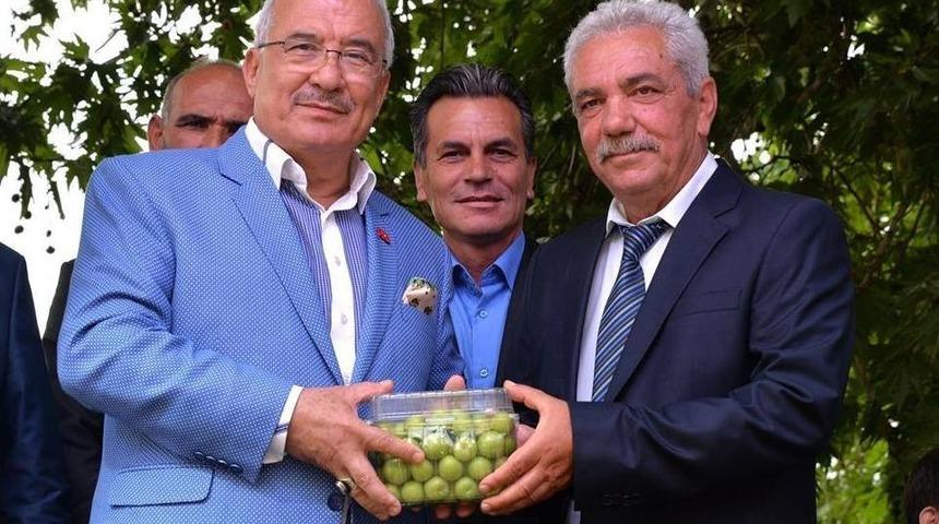 Gezende&rsquo;de Erik Festivali Coşkusu