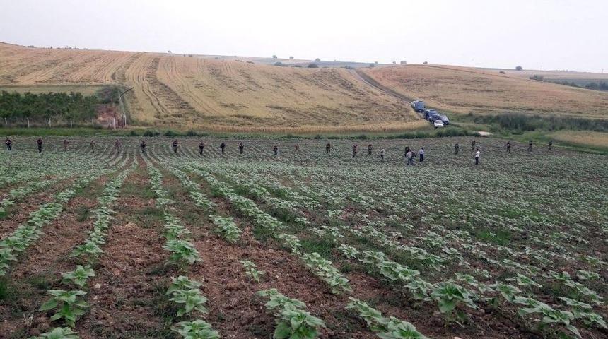 Adana&rsquo;da Uyuşturucu Operasyonları