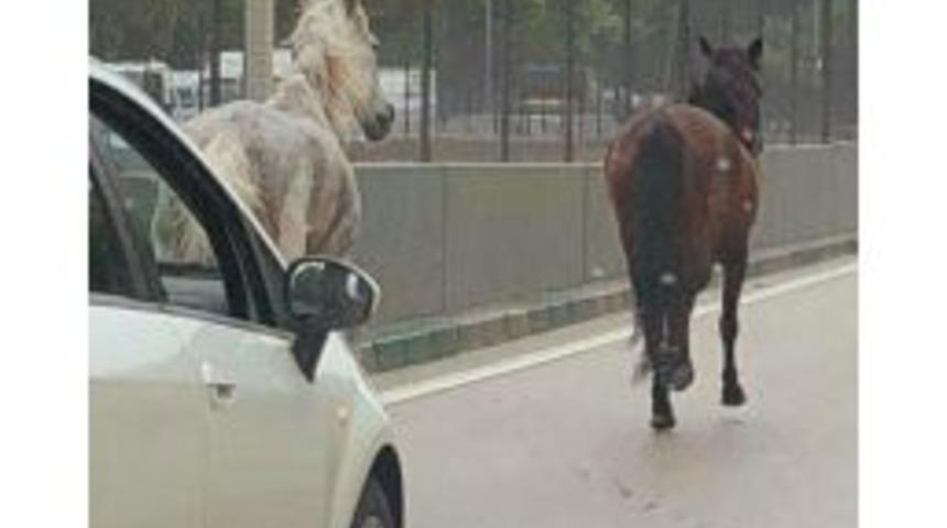 Bursa&rsquo;da Şaşırtan G&ouml;r&uuml;nt&uuml;