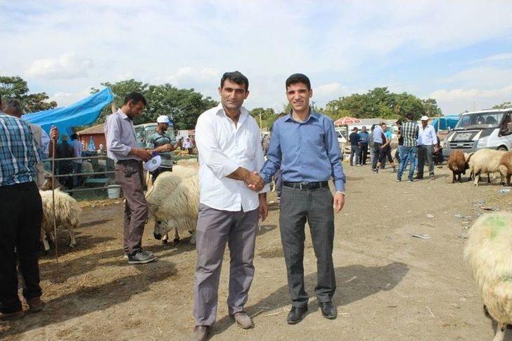 Erzincan’da Bir Yılda 150 Bin’den Fazla Hayvan Satıldı G2