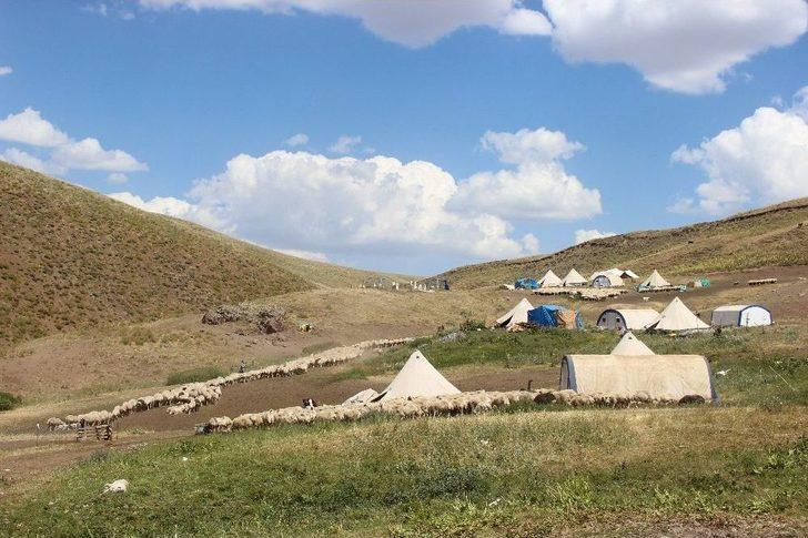 Erzincan’da Bir Yılda 150 Bin’den Fazla Hayvan Satıldı G3