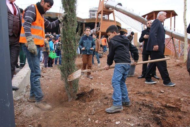 Şanlıurfa Kendi Fidanını Üretiyor