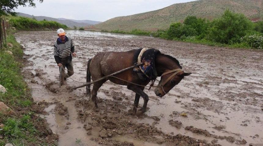 Gercüş’te Pirinç Üreticilerin Zorlu Mücadelesi Başladı