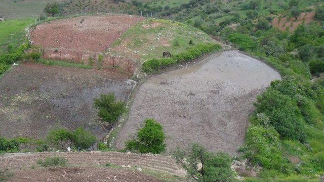 Gercüş’te Pirinç Üreticilerin Zorlu Mücadelesi Başladı