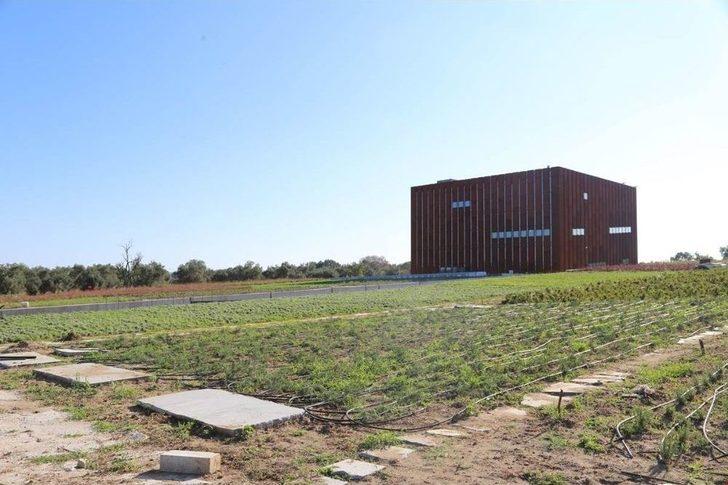 Troya Müzesi Hızla Açılışa Hazırlanıyor G1