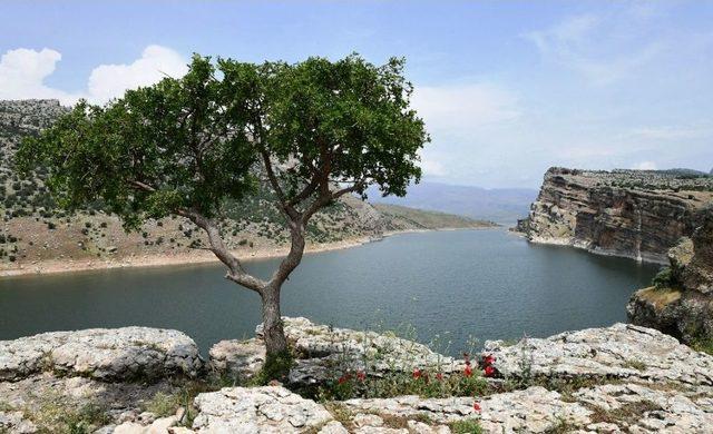 Takoran Vadisi Gen&ccedil;lere Tanıtılıyor 1