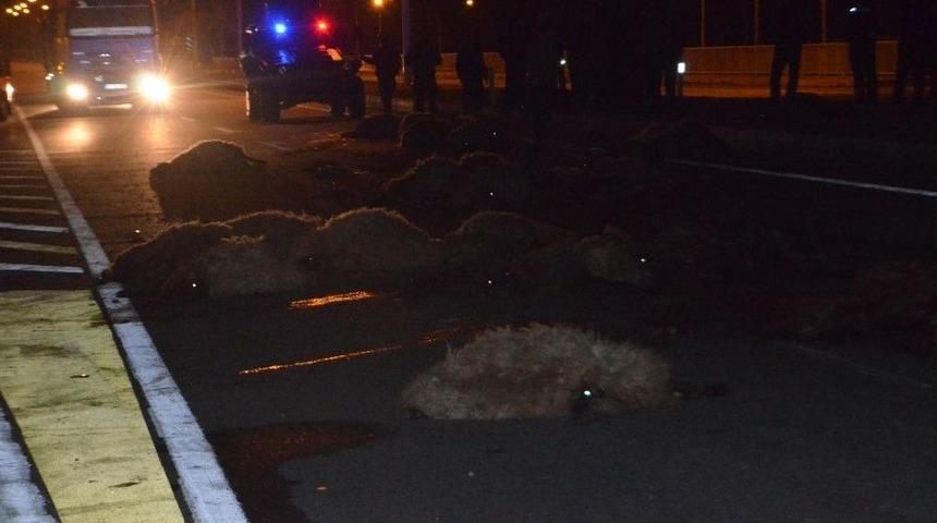 S&uuml;r&uuml;s&uuml;ne &Ccedil;arpan Minib&uuml;s&uuml; Benzinle Ateşe Verdi