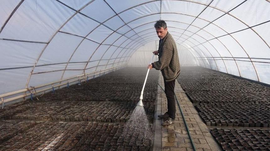 Y&uuml;z Binlerce &Ccedil;i&ccedil;ek Toprakla Buluşmayı Bekliyor