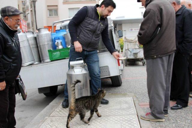 (özel Haber) Sevimli Kedi 4 Yıldır Süt Almak İçin Sıraya Giriyor