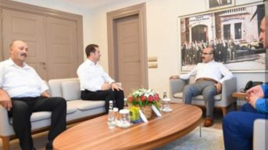 Çukurova’da Akdeniz Meyve Sineği Alarmı