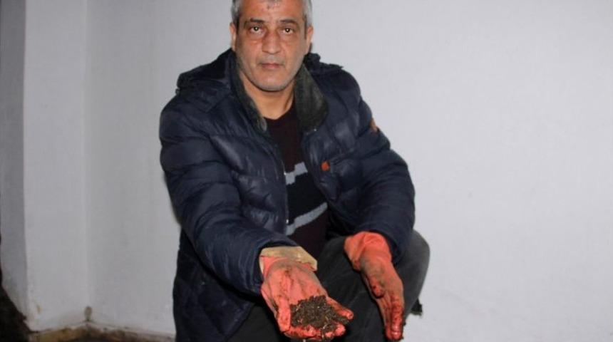 İnsanlar Kanser Olmasın Diye 1 Milyon Solucan İle Organik G&uuml;bre &Uuml;retiyor