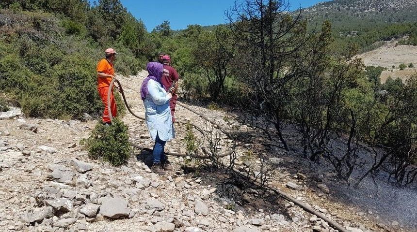 Korkuteli’nde Sezonun İlk Orman Yangını Ucuz Atlatıldı.
