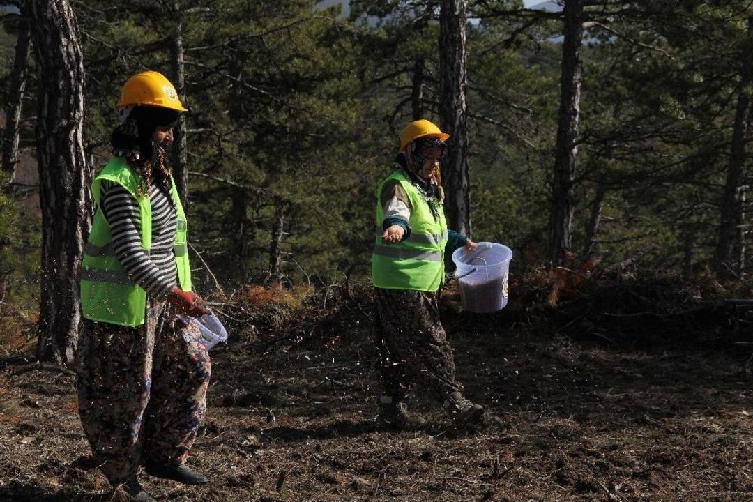 Kara&ccedil;am Tohumları Toprakla Buluştu