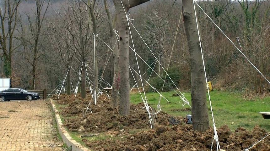 Ma&ccedil;ka Parkı&rsquo;ndan Ağa&ccedil; Taşıma İşlemi Sona Erdi
