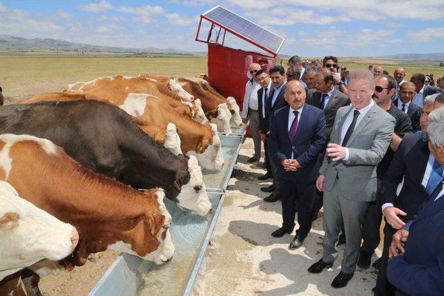 Altınyayla İlçesin Mera Islah Projesi Uygulamaya Geçti