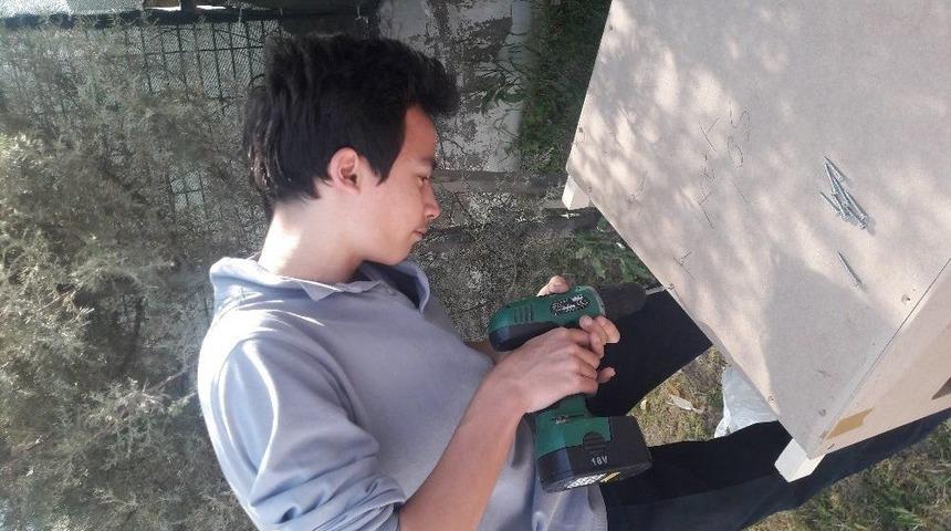 &Ccedil;&ouml;pe Gidecek Materyaller Sokak Hayvanlarına Yuva Oldu