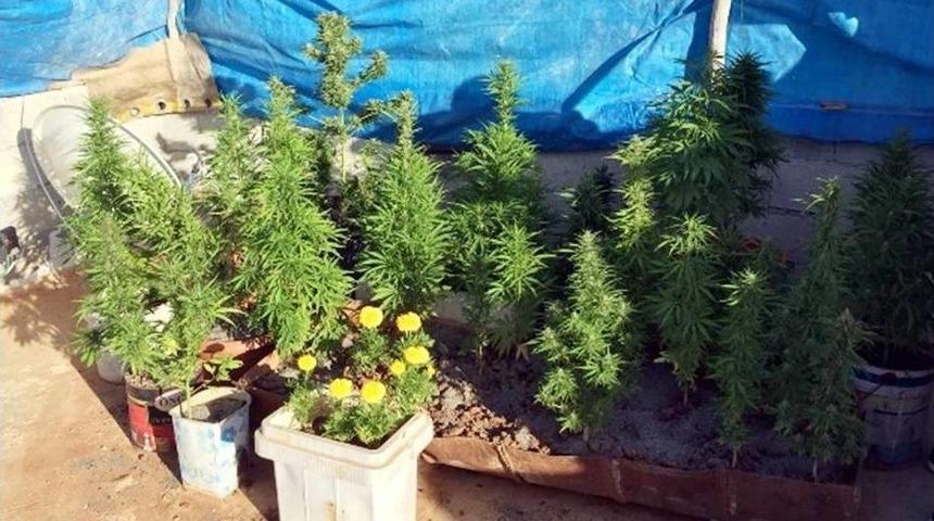 Gaziantep&rsquo;te Uyuşturucu Operasyonunda 3 G&ouml;zaltı