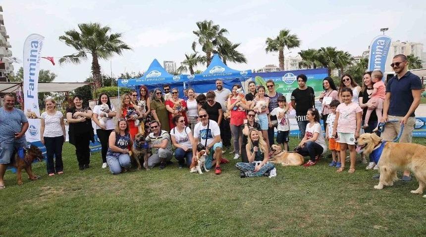 Hayvanseverler &rsquo;can Dostları Şenliği&rsquo;nde Buluştu