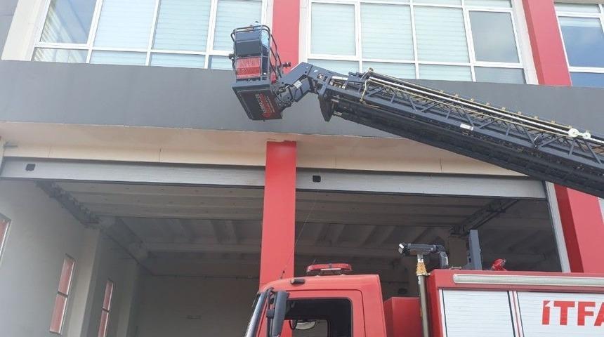 Kumru Yavrularının Yaşaması İ&ccedil;in Aroz&ouml;z&uuml;n Bakımı Ertelendi