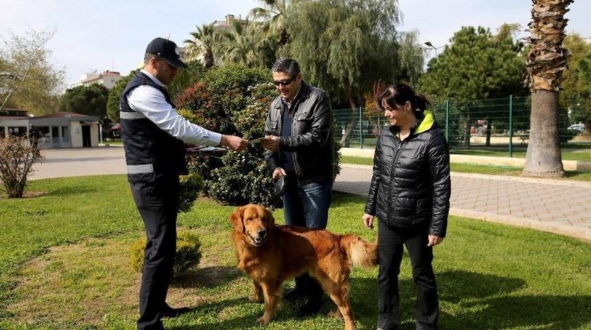 Can Dostlar Veteriner Zabıtasına Emanet