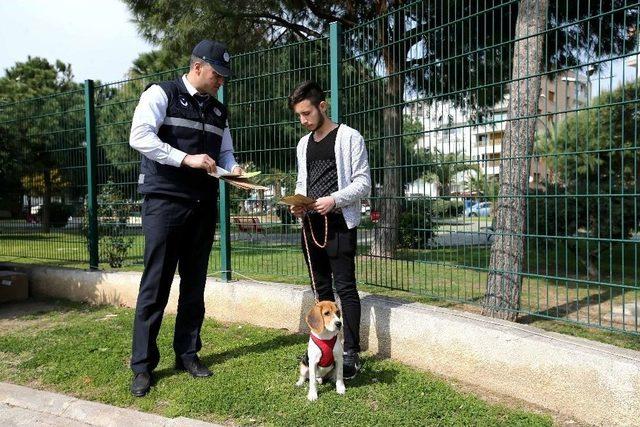 Can Dostlar Veteriner Zabıtasına Emanet 3