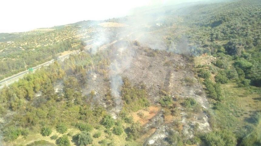 Aydın&rsquo;da Arazi Yangını Ormana Sı&ccedil;ramadan Kontrol Altına Alındı
