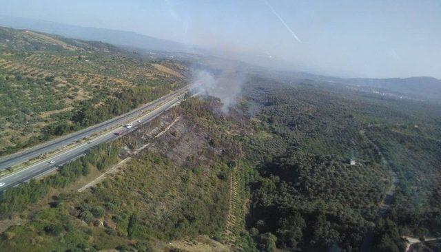 Aydın’da Arazi Yangını Ormana Sıçramadan Kontrol Altına Alındı 1