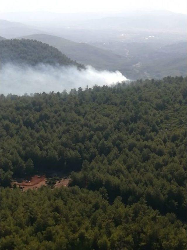 Aydın’da Arazi Yangını Ormana Sıçramadan Kontrol Altına Alındı 2