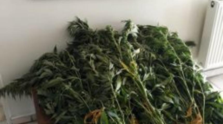 Baba-oğul Zehir Tacirleri Yakalandı