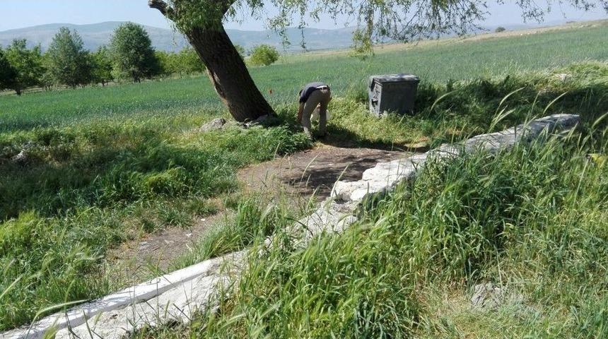 İnönü Belediyesinden Doğa Dostu Çalışma