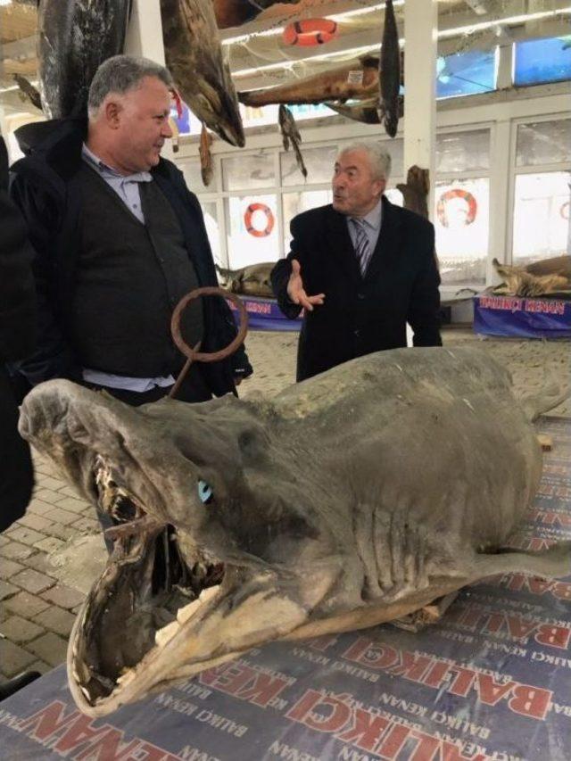 Dr. Halil İbrahim &Ouml;zkuş: &ldquo;balık&ccedil;ı Kenan T&uuml;rkiye Deniz Canlıları M&uuml;zesi&rsquo;ni &Uuml;niversal Hale Getirmeliyiz&rdquo; 2